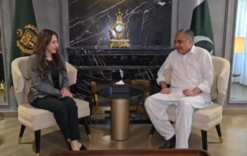 پاکستانی وزیرِ داخلہ کی اسلام آباد میں امریکی ناظم الامور سے ملاقات: ایران کی جانب سے مثبت پیش رفت کی امید ہے، محسن نقوی