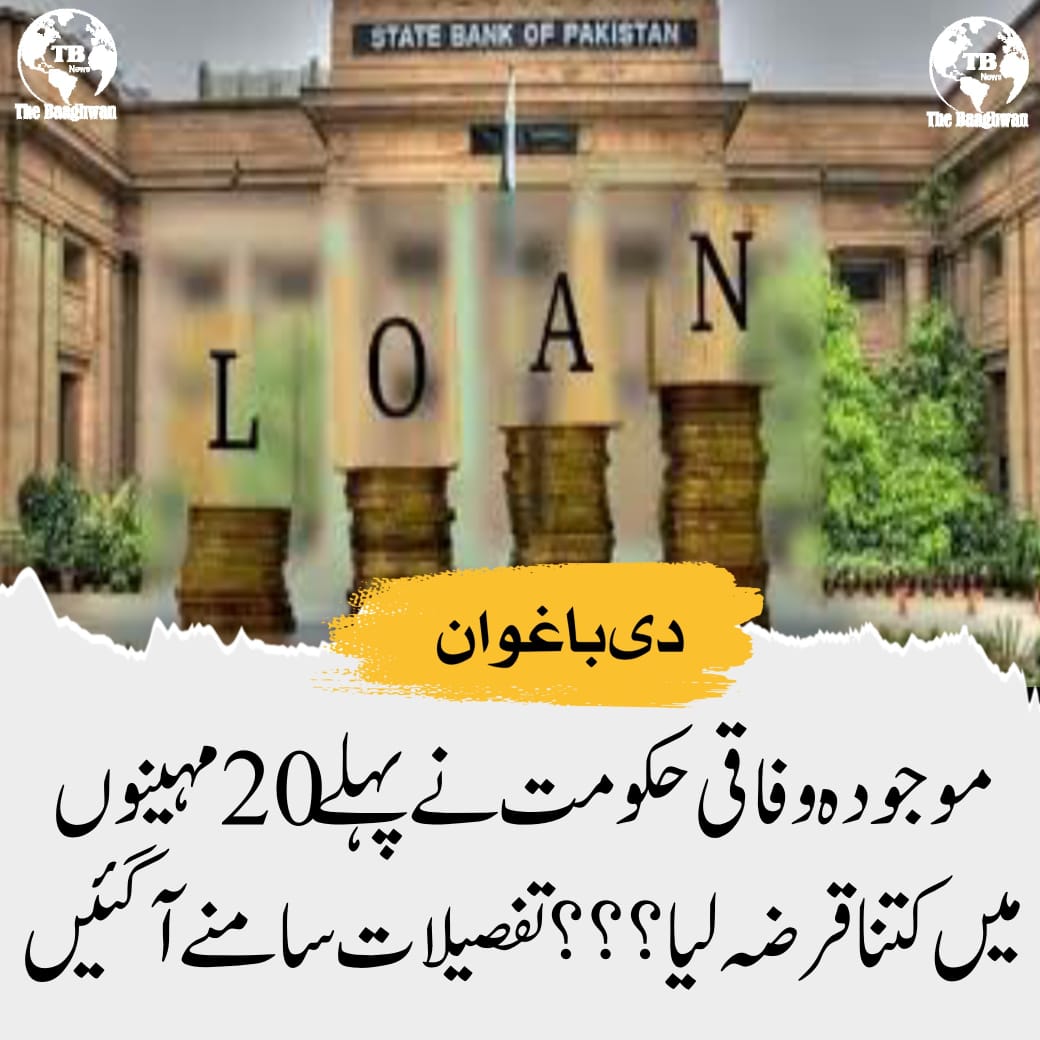 وفاقی حکومت نےپہلےبیس مہینوں میں کتناقرضہ لیا؟؟؟ تفصیلات سامنے آگئیں۔