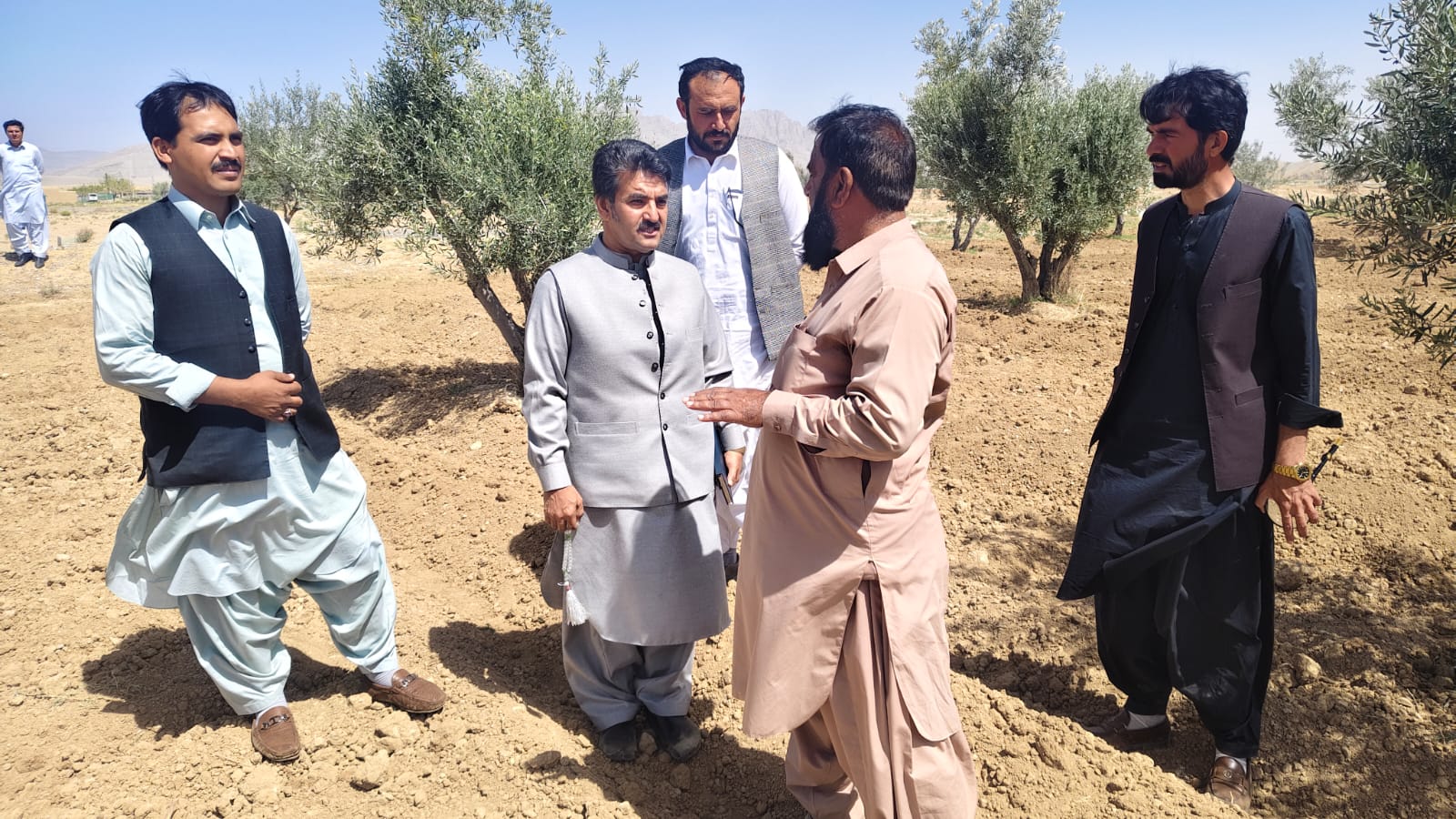 ڈی جی ایگریکلچر ریسرچ کا لورالائی دورہ، جرم پلازم یونٹ کے قیام سے زیتون کی تصدیق شدہ افزائش کو فروغ، 2 ٹیوب ویلوں کی فراہمی کی یقین دہانی