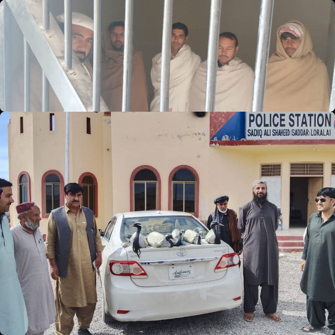 غیر قانونی شکار کے خلاف کارروائی، 5 ملزمان گرفتار، 5 کونج برآمد