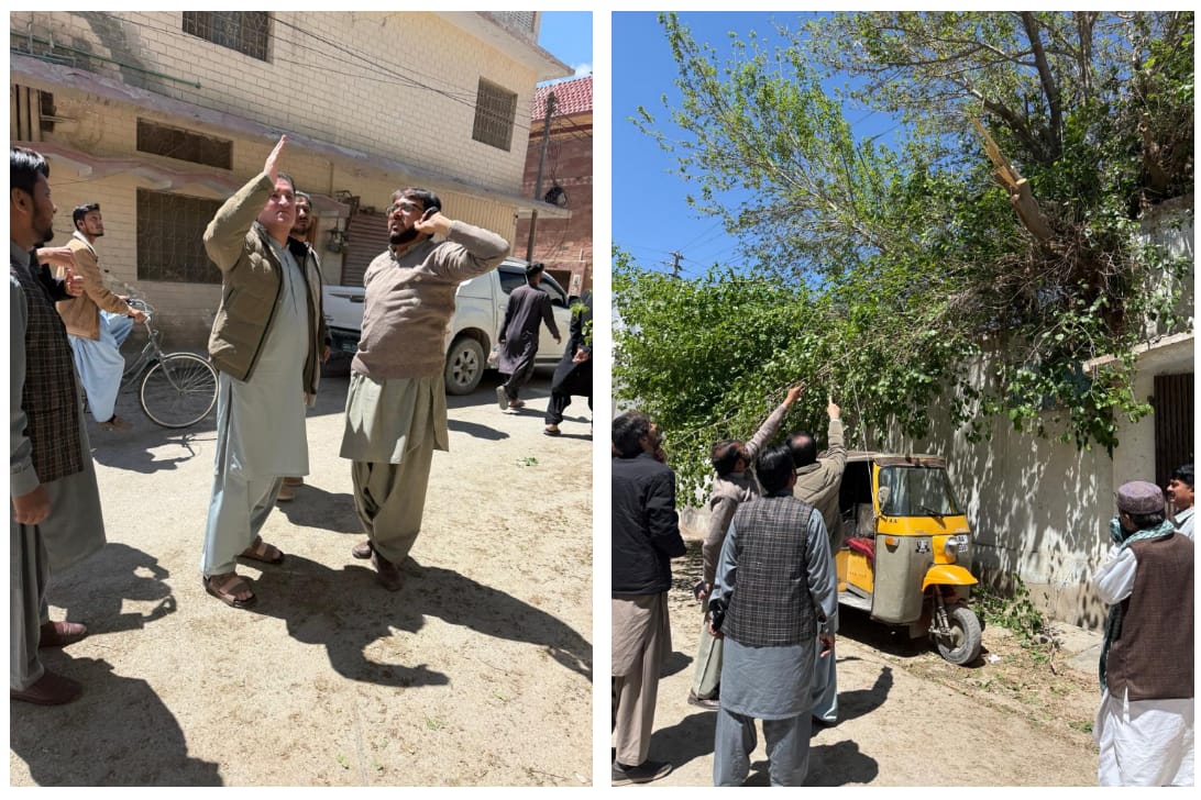 سیٹلائٹ ٹاؤن میں درختوں کو نقصان پہنچانے پر ایس ڈی او کیسکو کے خلاف مقدمہ درج کرنے کا فیصلہ